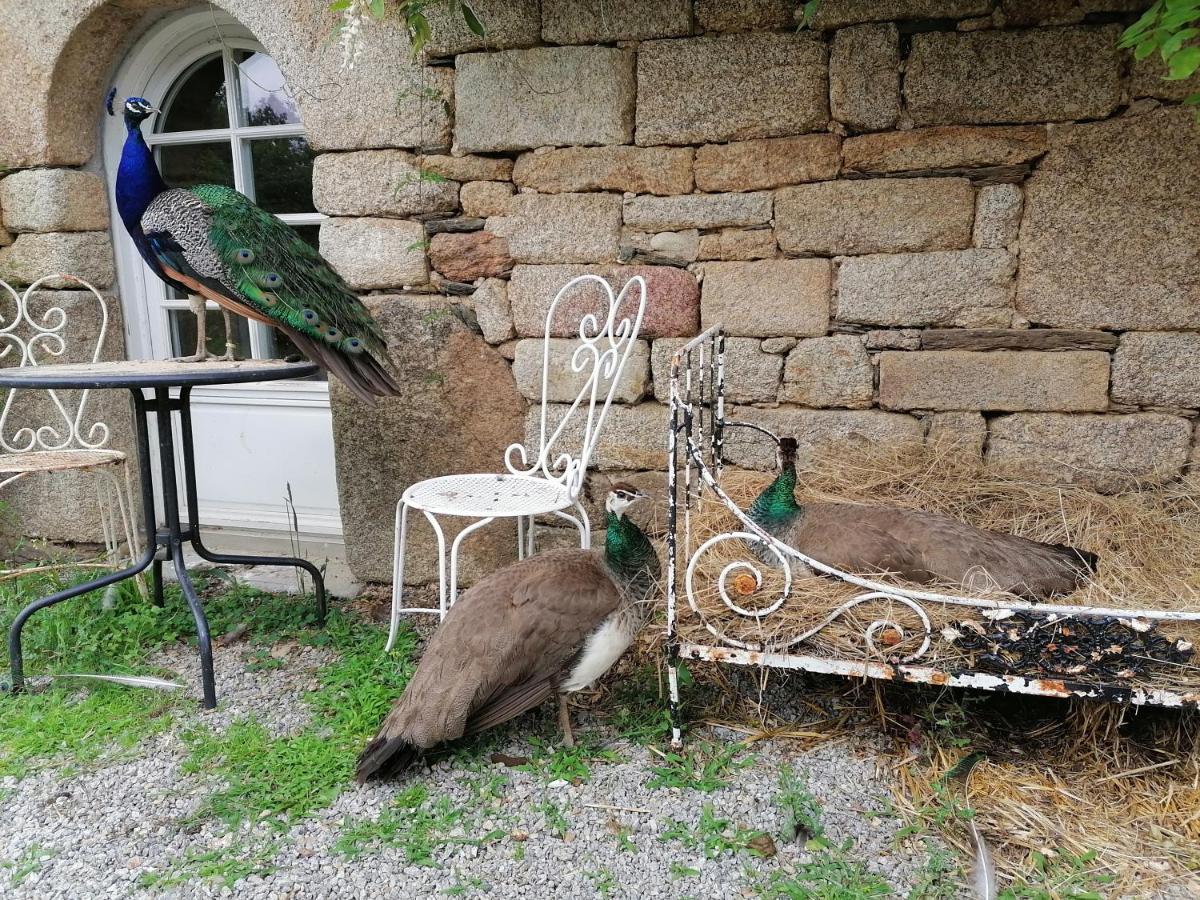 ポンティヴィ Frairie Du Divit Bed & Breakfast エクステリア 写真